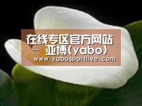 产品名称七