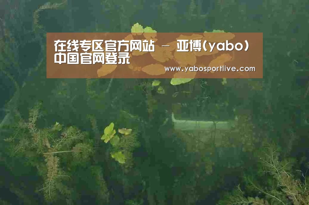 案例展示三