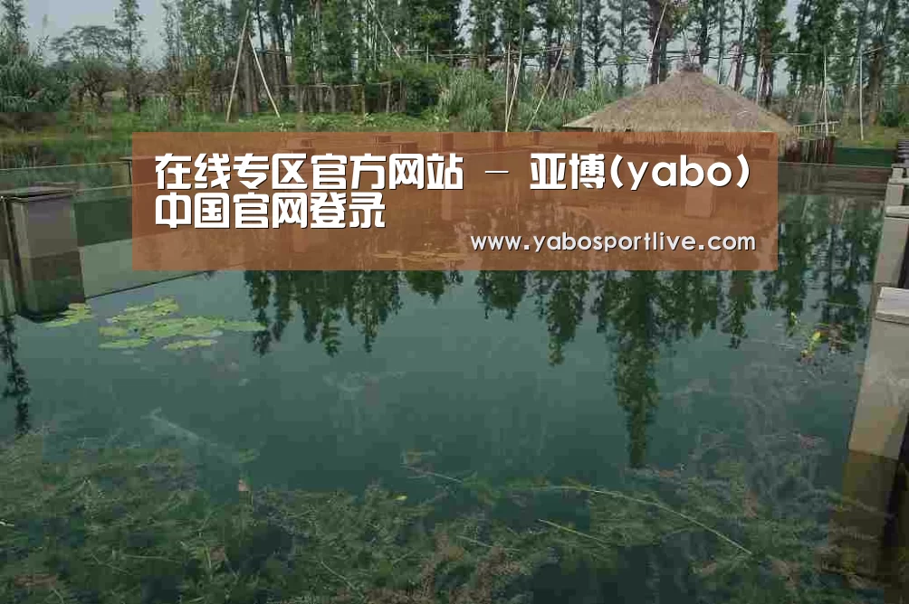 案例展示二