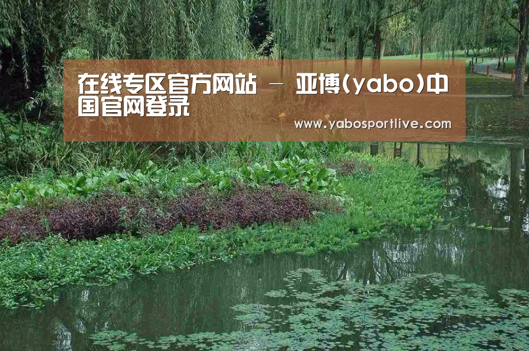 案例展示一
