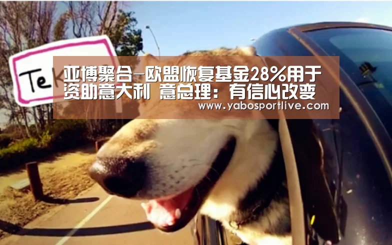 亚博聚合
