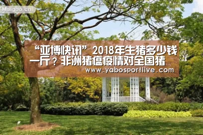 “亚博快讯”2018年生猪多少钱一斤?非洲猪瘟疫情对全国猪价的影响(图1) 亚博快讯