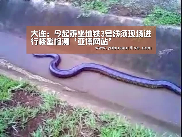 大连:今起乘坐地铁3号线须现场进行核酸检测‘亚博网站’(图2) 亚博聚合