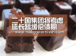 二十国集团将考虑延长暂缓偿债期 近年底做出决定|亚博聚合(图1) 亚博网站