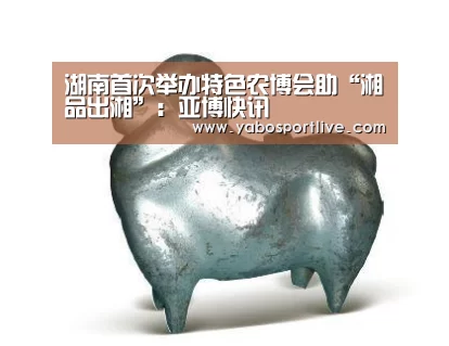 湖南首次举办特色农博会助“湘品出湘”:亚博快讯(图1) 亚博快讯