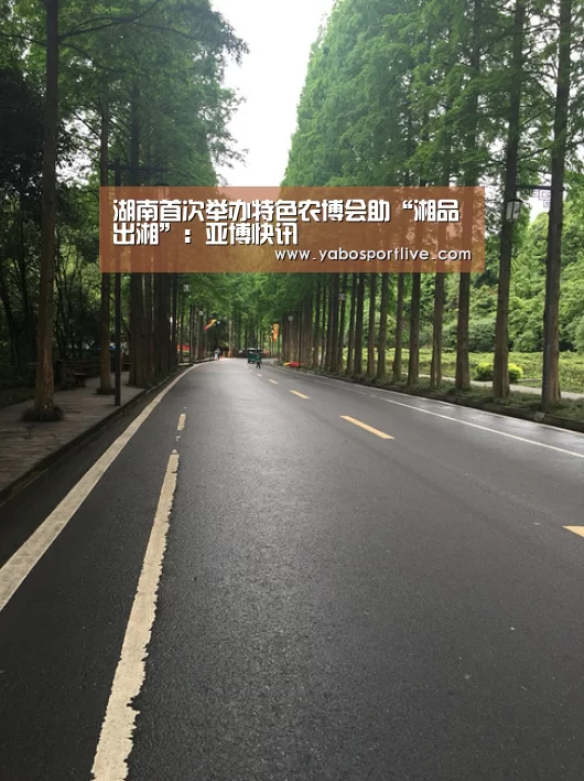 湖南首次举办特色农博会助“湘品出湘”:亚博快讯(图3) 亚博聚合